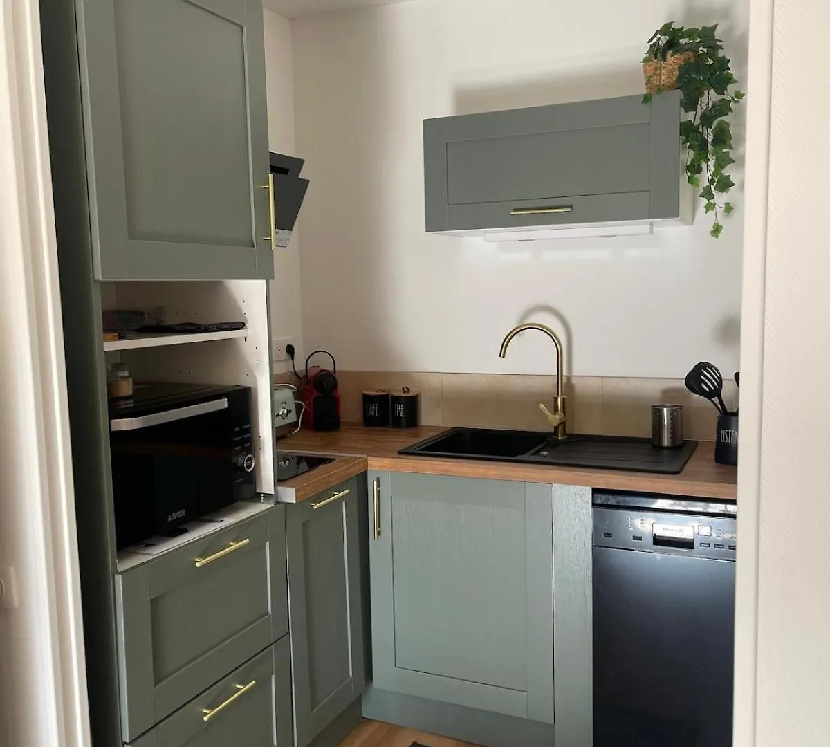 Coquet Appartement Ussat